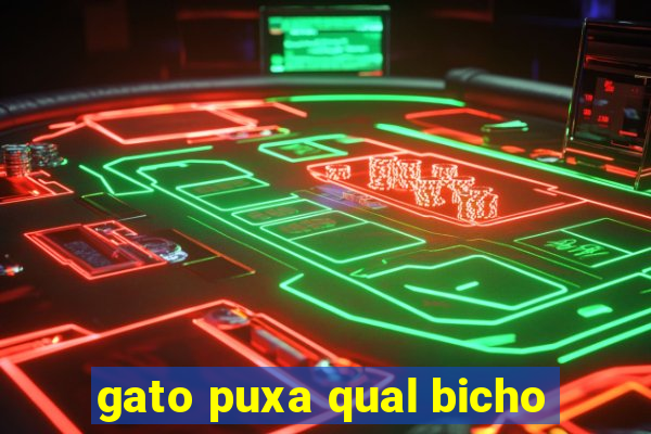 gato puxa qual bicho