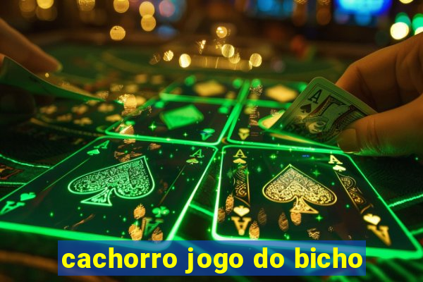 cachorro jogo do bicho