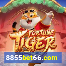 8855bet66.com