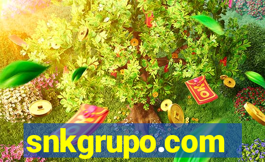 snkgrupo.com