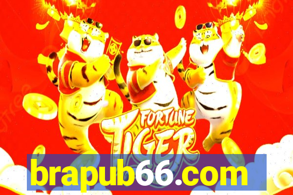 brapub66.com