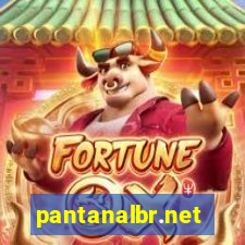 pantanalbr.net