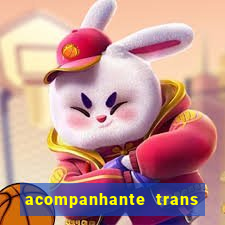 acompanhante trans de santos