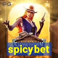 spicybet-1.com