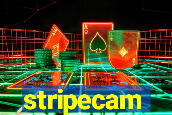 stripecam