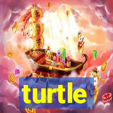 turtle-ty.com