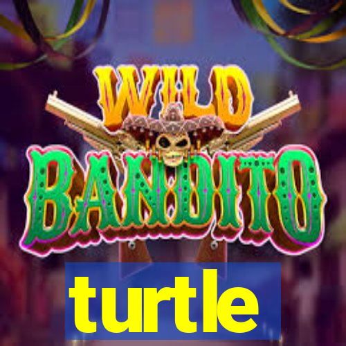 turtle-ty.com